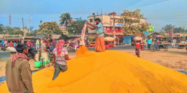 নন্দীগ্রামে জমে উঠেছে সরিষার হাট, বাজারমূল্য বেশি পাওয়ায় কৃষকরা খুশি